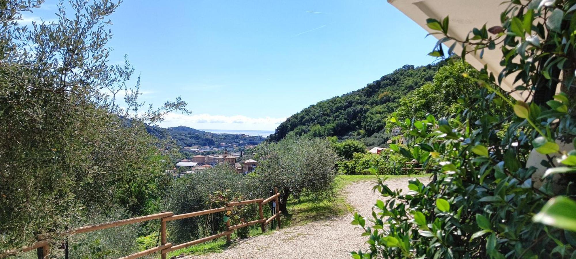 Le Drupe Villa Chiavari Exterior photo
